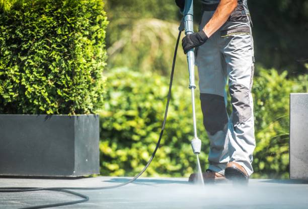 Best Pool Deck Cleaning in Greenwood, PA