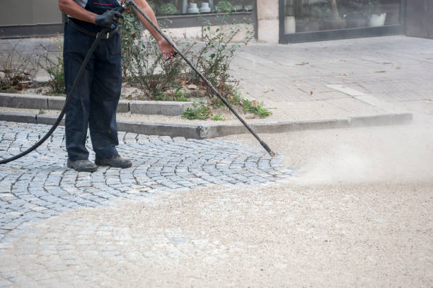 Best Driveway Cleaning and Restoration in Greenwood, PA